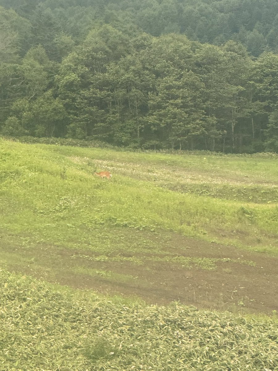 papimami_ahaha's tweet photo. 残念❗️
雲海見れず‼️
キセキノキセッキ起きず(´･ω･`)ｼｮﾎﾞｰﾝ https://t.co/4ptL7XuCvN
