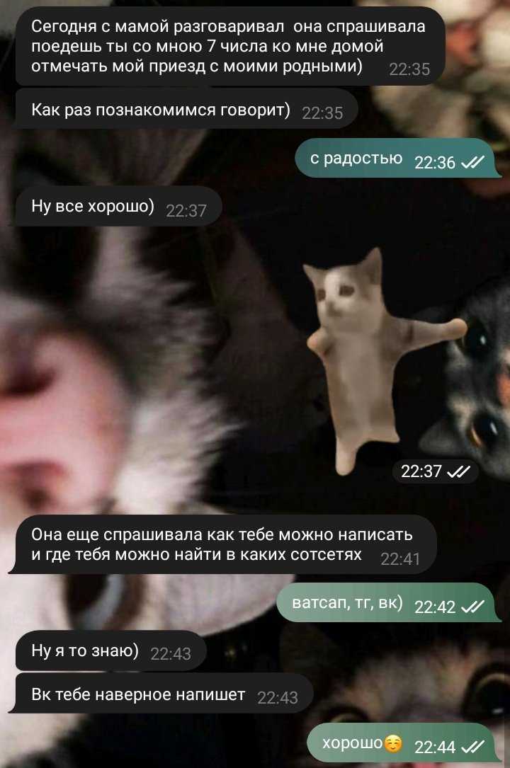 dreamoon_twt's tweet photo. БОЖЕЧКИ
после этого его мама добавилась ко мне в друзья в вк https://t.co/uqlzbs1SCj