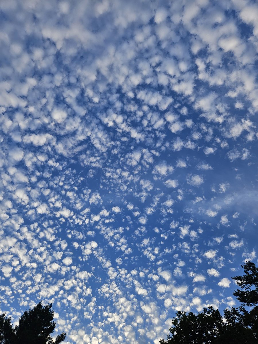 The sky over central NH yesterday afternoon.