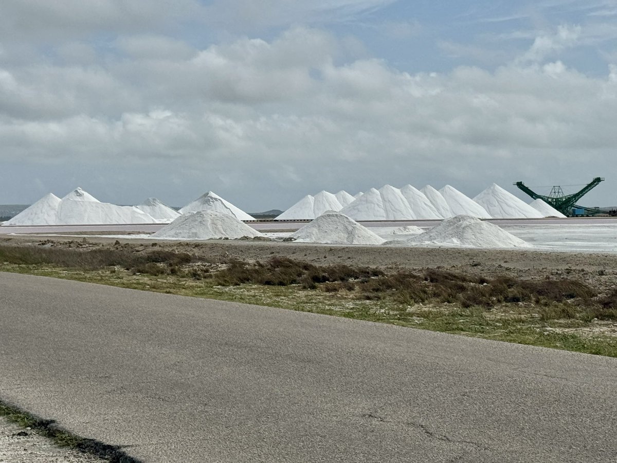 Fynnderella1's tweet image. Another lie your govt. told you…
Salt is essential.