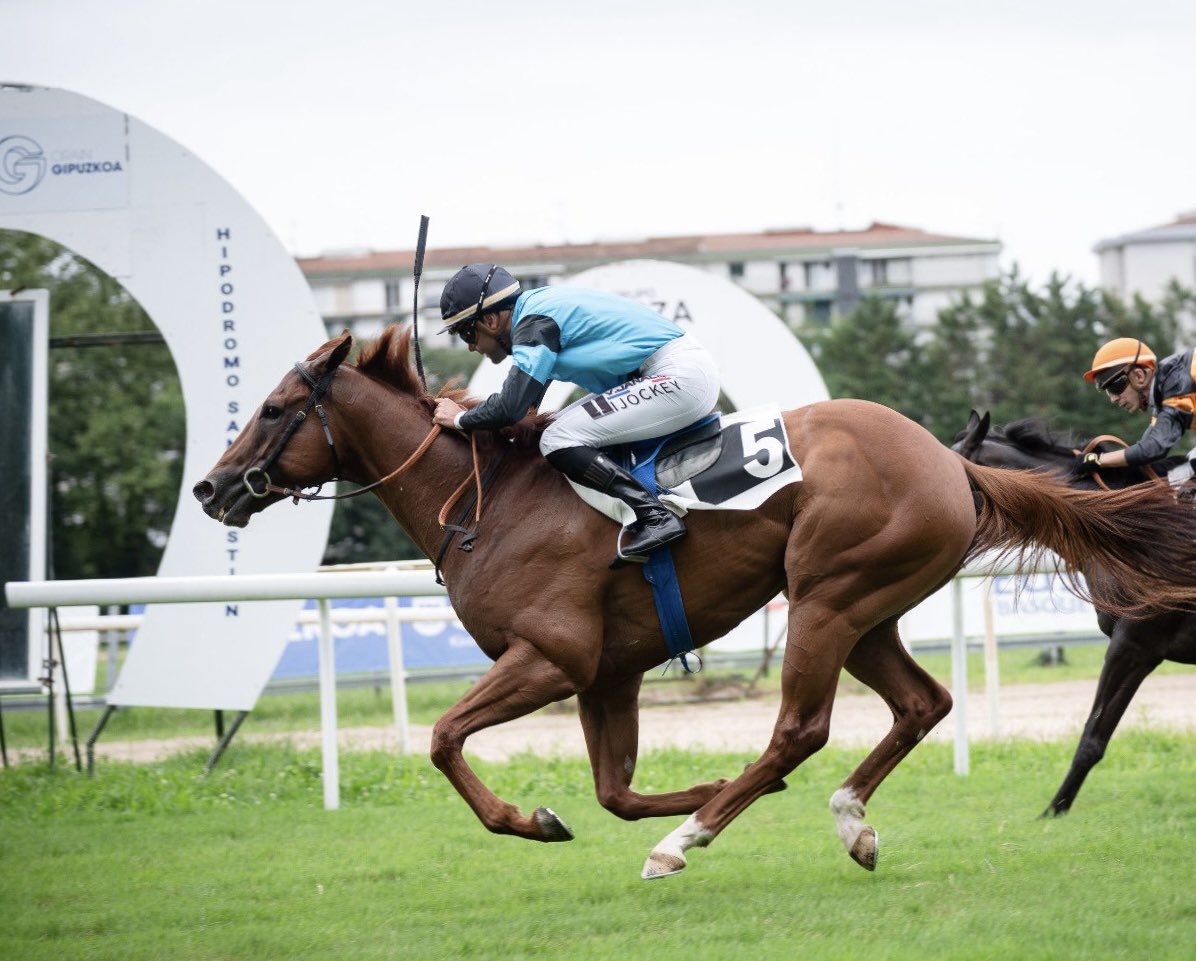 Yeguada 7 Iglesias tweet media