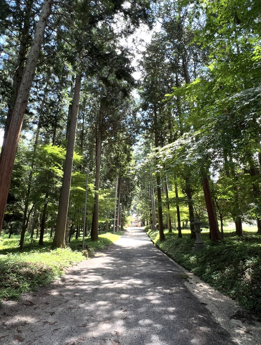 k_tamago_power's tweet image. 【日雲神社】
伝承によると、垂仁天皇の御代に皇女姫命が皇祖神天照大神を奉じ、その鎮座の地をもとめて、各地を巡行の時、この地に四年の間滞在されたことが、この宮の起こりであるとされているのだそう⛩️✨