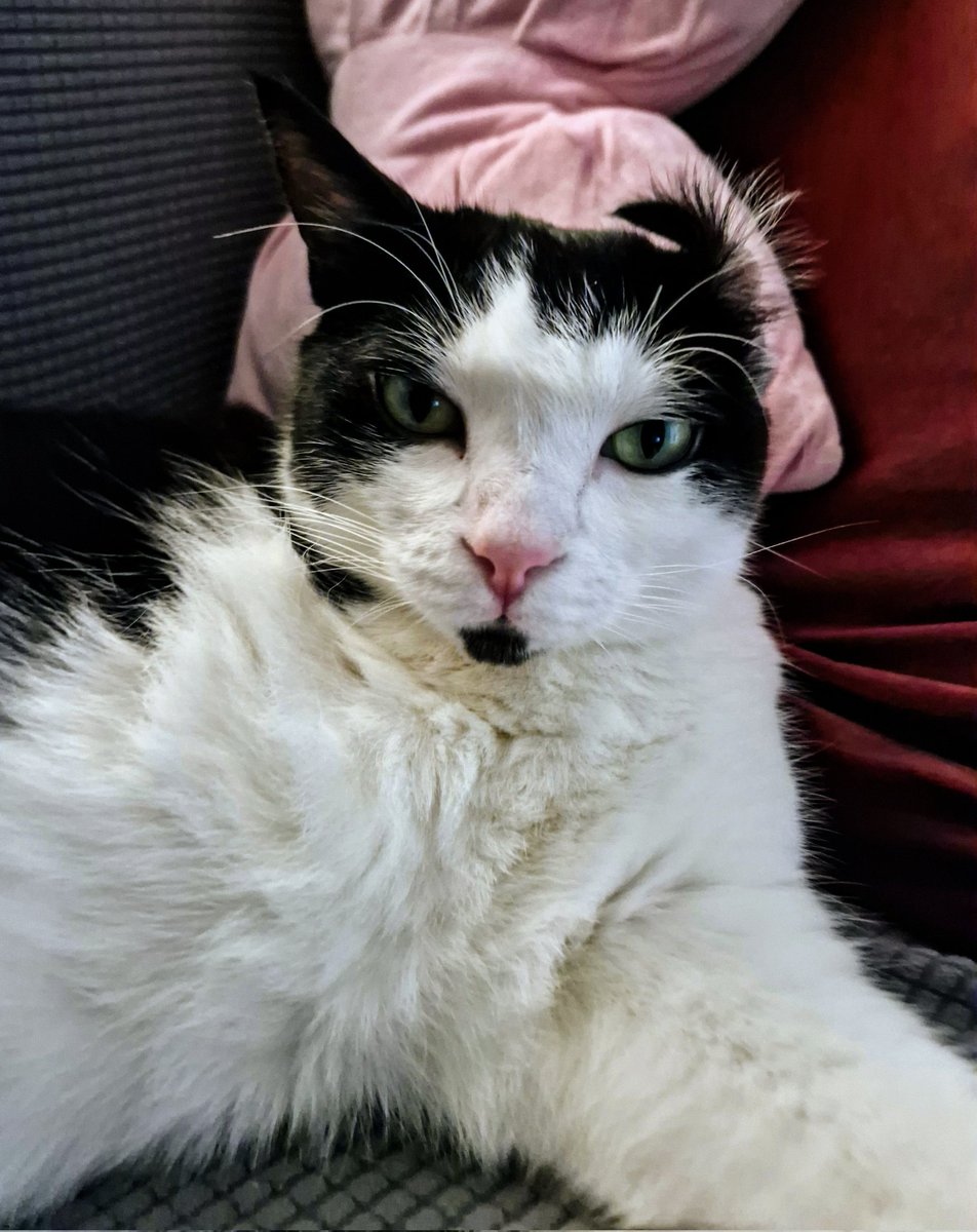 Ummm  , ,guyses ,??

ITSE AM HAPPINT AGGEN 👂↩️