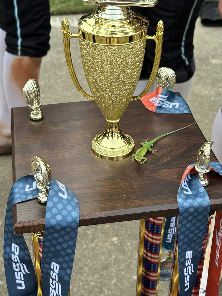 s_brady1's tweet photo. ✅USSSA Gulf Coast Nationals Foley, AL
✅3rd place finish in Gold 🏆Bracket (28 tough teams)
✅Sportsmanship Award

👏what 👏a 👏way 
👏to 👏finish!

🥎8-2 record for the week
🥎16-8 for the Summer
 #stealthmode https://t.co/lf9ztmzQi9