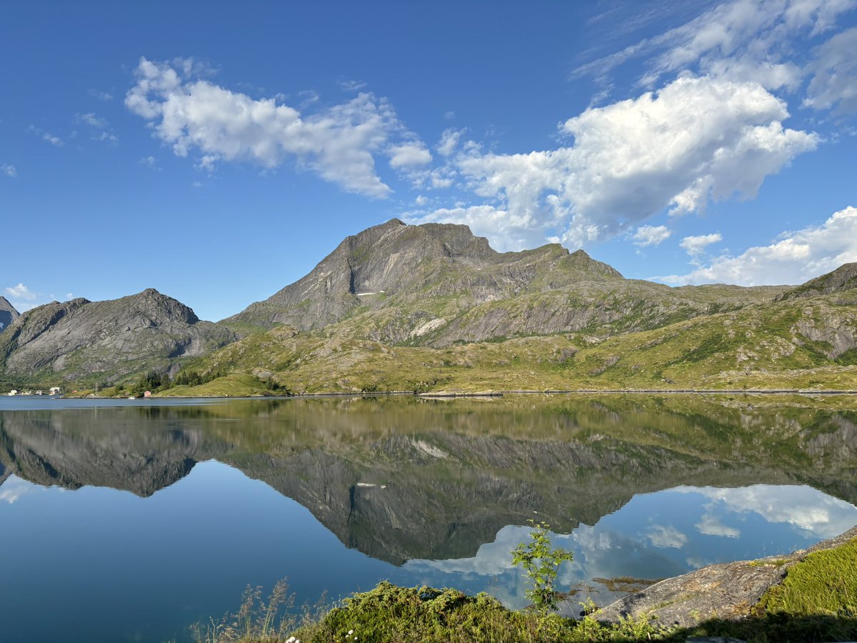 GRASS_ABS's tweet image. When I was touching $GRASS during Norwegian vacation ✳️💚
