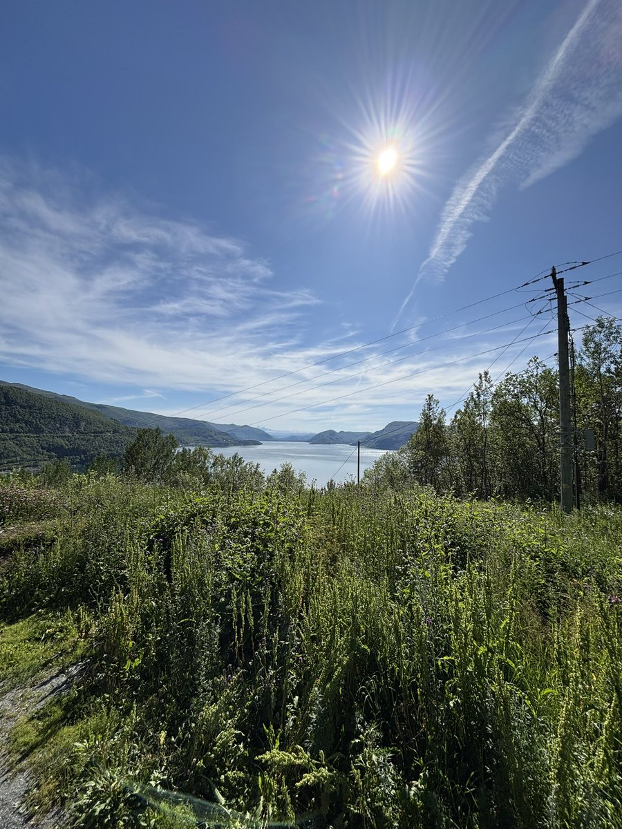 GRASS_ABS's tweet image. When I was touching $GRASS during Norwegian vacation ✳️💚