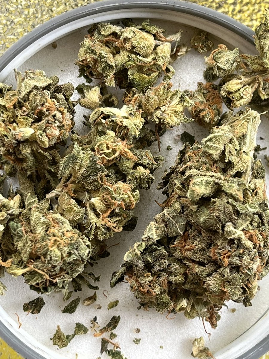 firepitmafia's tweet image. Only the finest Home Grown - with ❤️
Cheers fam 😙💨😶‍🌫️