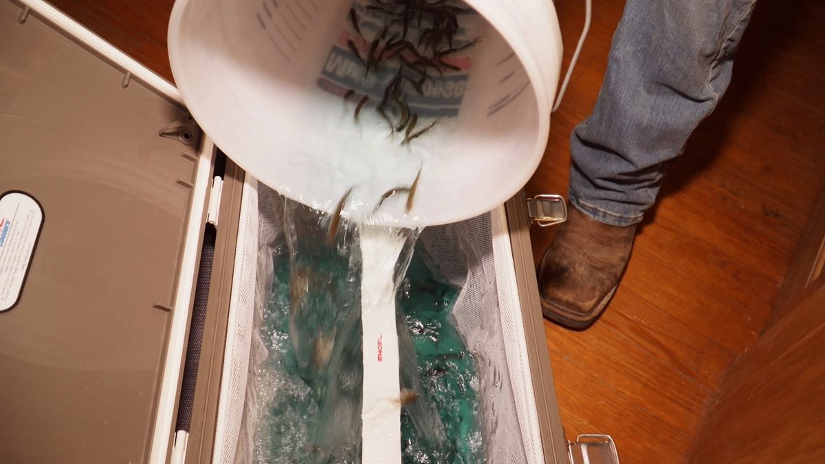 Never know what you might catch when fishing with live bait! 

<a href="/EngelCoolers/">Engel Coolers</a>

#EngelCoolers #SeriousCool #LiveBait #Cooler #Fishing