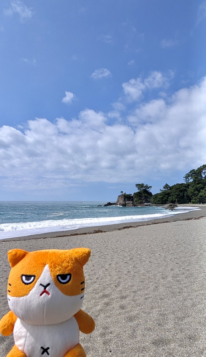 ymobileOfficial's tweet image. ふてニャンの電波旅行記🐱
#海の日 なので、せっかくなら“海を感じる場所”へ🌊
というわけで、ふてニャンは高知を旅してきました🚃🐟
高知に住んでいる方、行ったことのある方、どこがおすすめですか?
ぜひリプライで教えてください🐾
#もっともっとつながるワイモバイルへ…