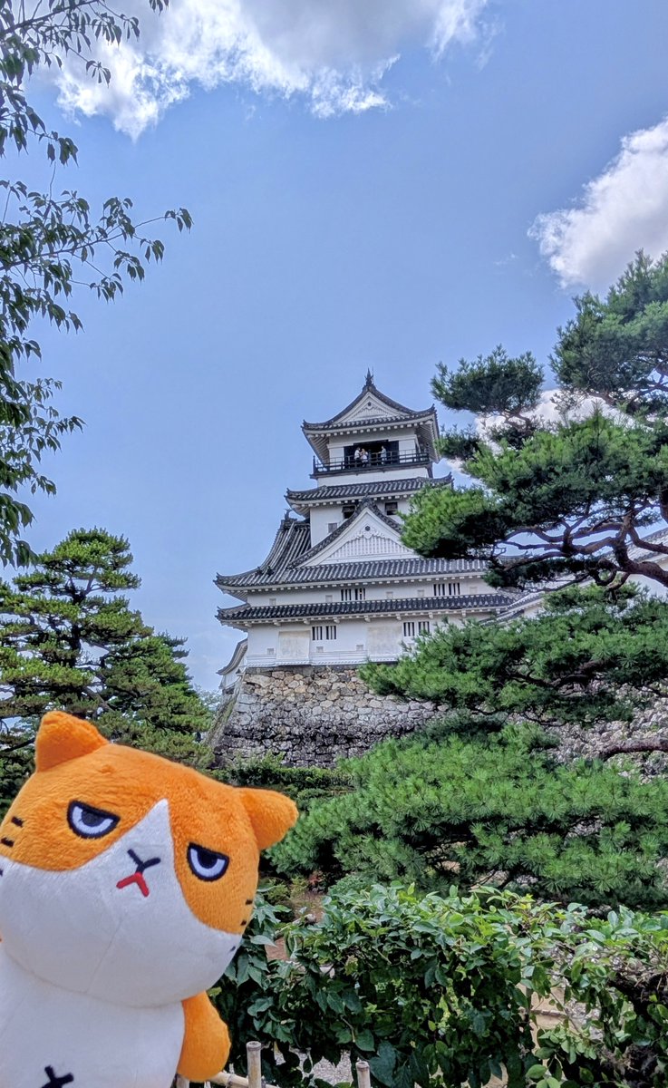 ymobileOfficial's tweet image. ふてニャンの電波旅行記🐱
#海の日 なので、せっかくなら“海を感じる場所”へ🌊
というわけで、ふてニャンは高知を旅してきました🚃🐟
高知に住んでいる方、行ったことのある方、どこがおすすめですか?
ぜひリプライで教えてください🐾
#もっともっとつながるワイモバイルへ…