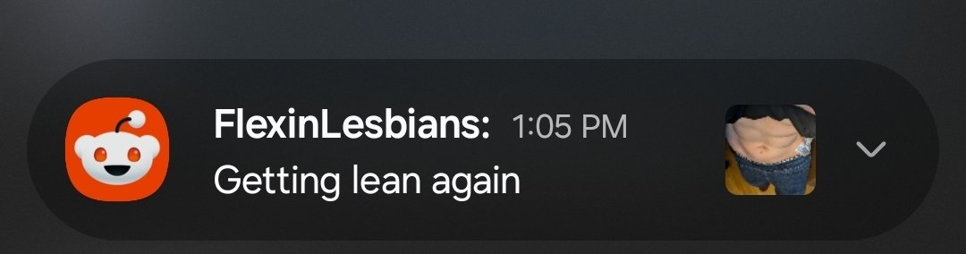 notasadloser's tweet image. reddit recommended post notifications are so funny to me like yeah I do wanna see lesbian abs