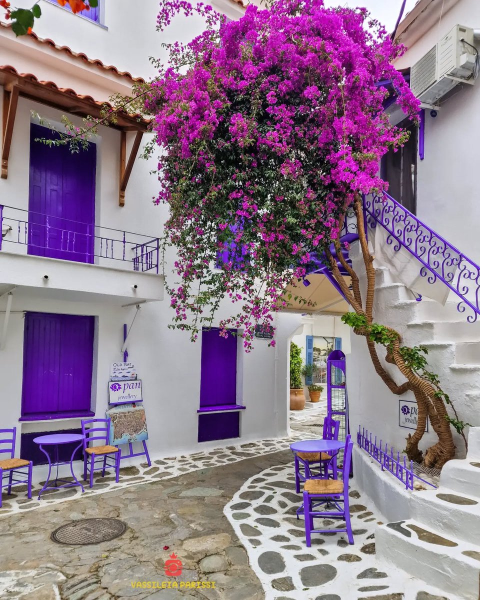 GreekPictures's tweet image. Purple dreams wrapped in Aegean calm and cobblestone charm. 🇬🇷 #Skiathos
📷 vassileia_parissi