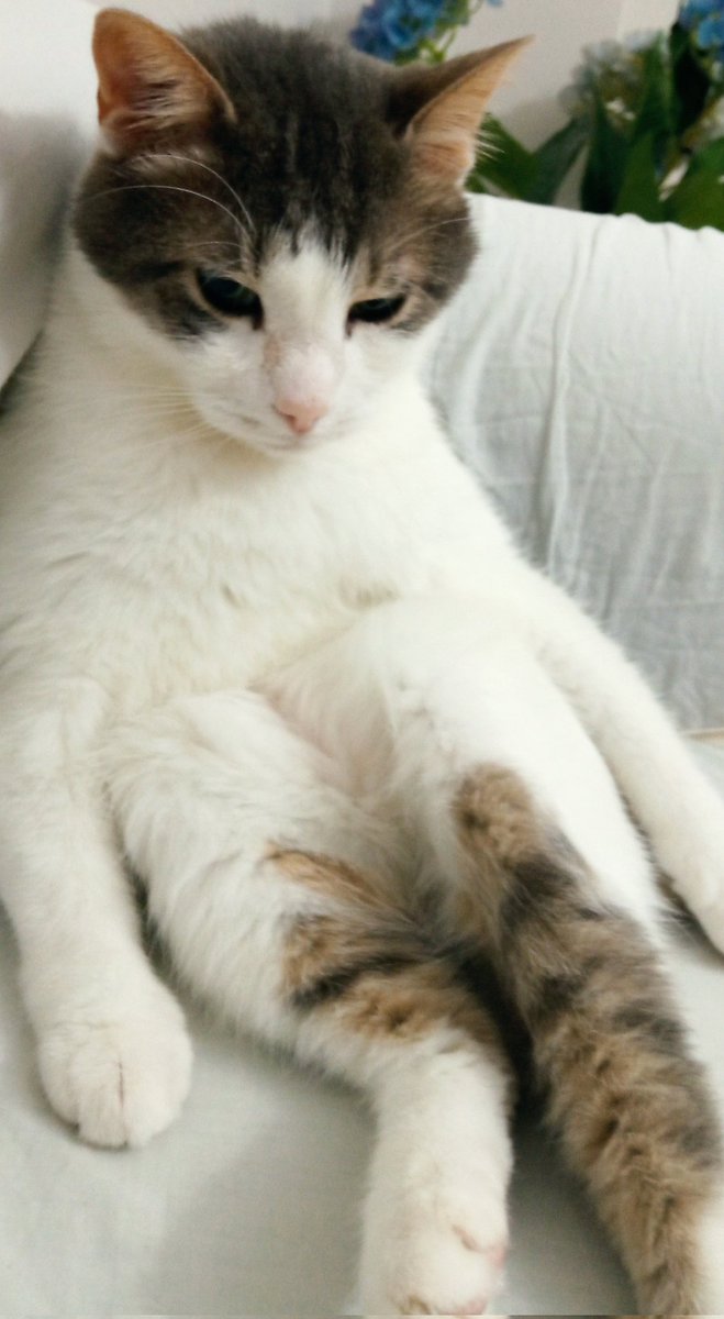 Gönül sohbeti ediyoruz ..