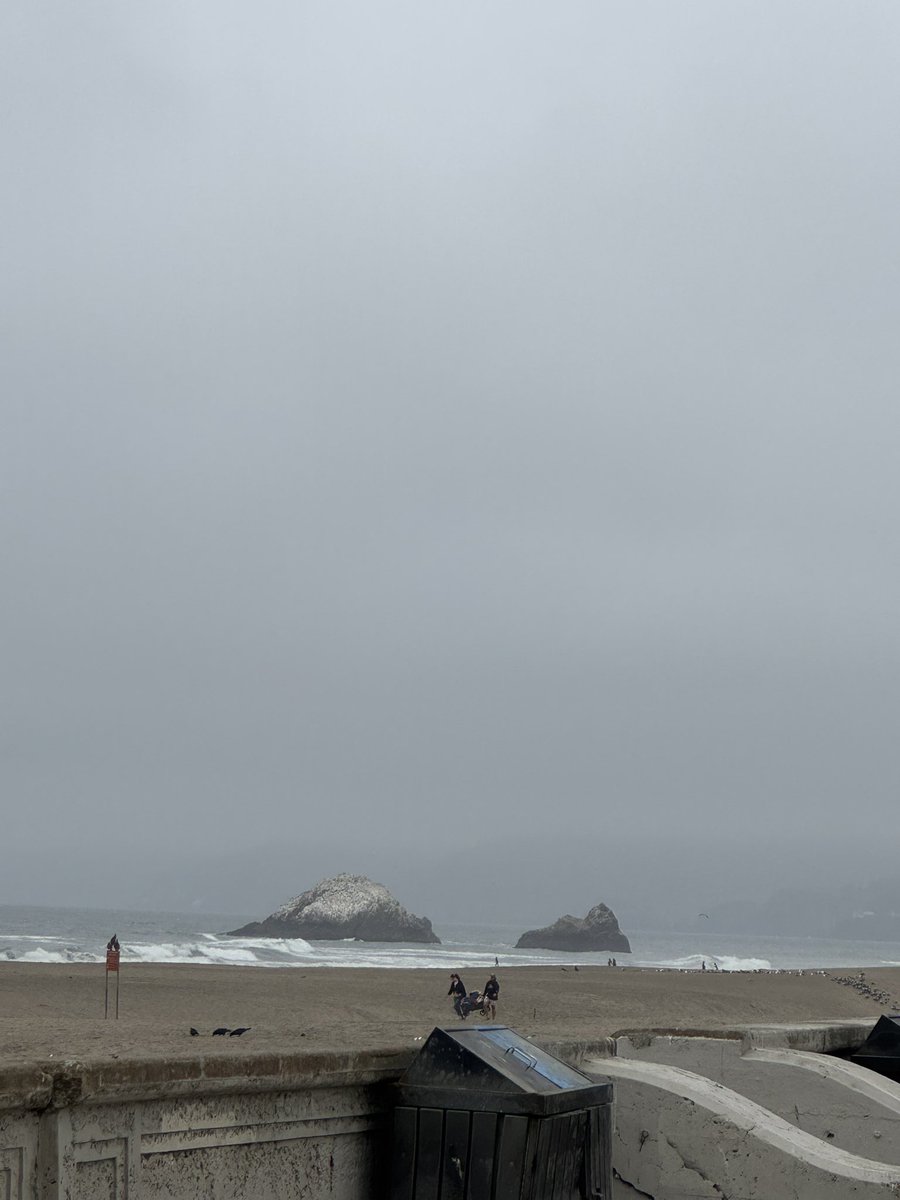 Today Sean and I explored the Great Hwy and a very small part of Golden Gate Park on our scooters. It was fun and freezing!