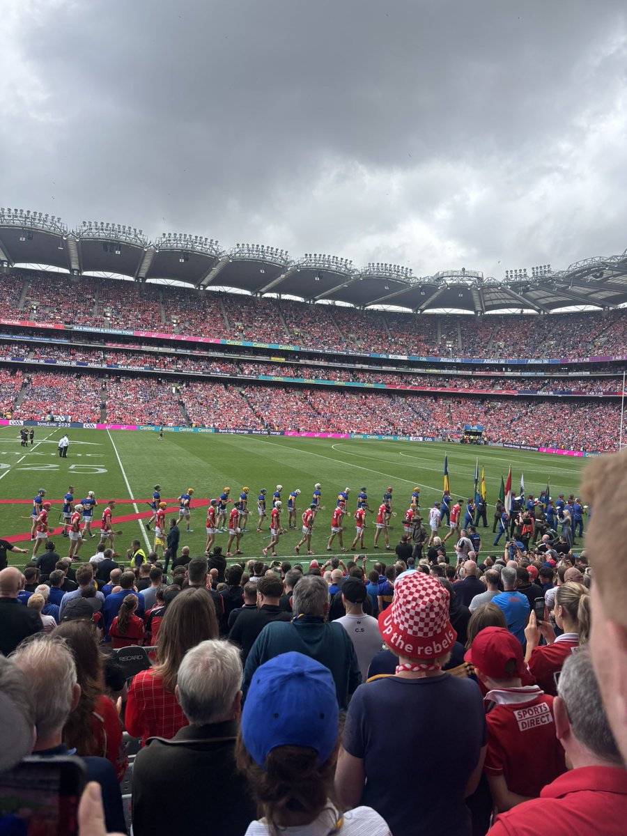 Sinead Gaynor tweet media