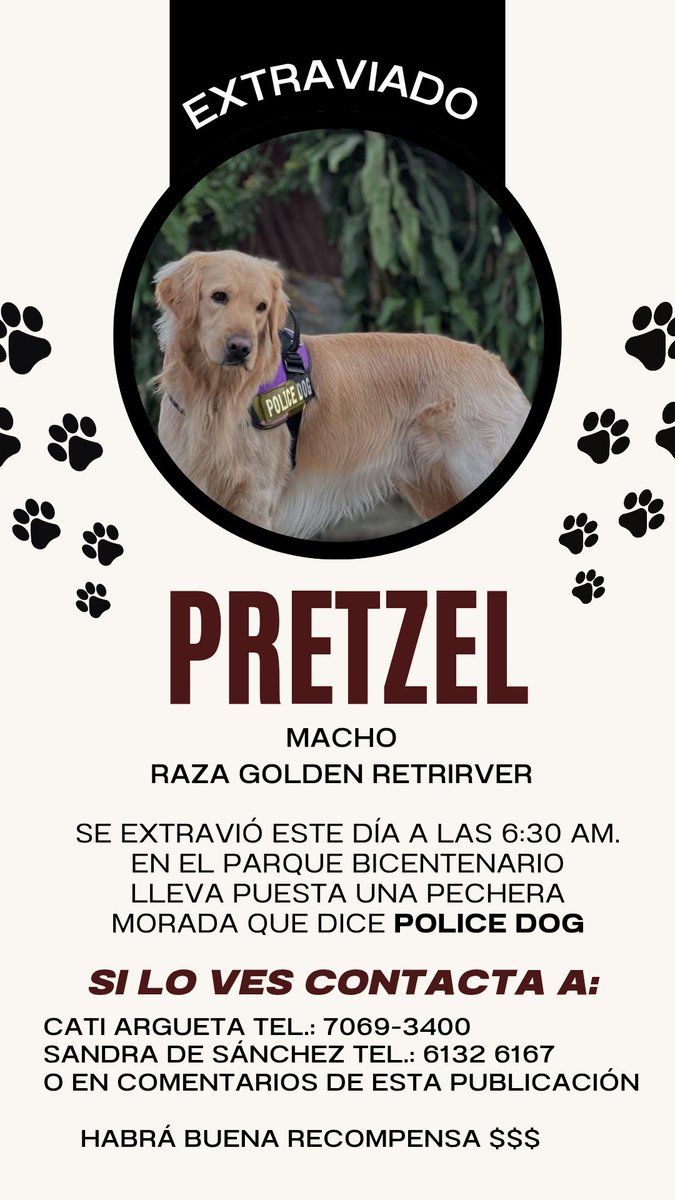 elmercampos7's tweet image. Amigos corredores:
Ayúdenme a compartir esta publicación o si se mueven en el sector del Bicentenario, apoyemos y hagamos realidad el retorno de PRETZEL a su hogar junto a sus humanos..
En el afiche los detalles.

GRACIAS MIL POR EL.APOYO

Tocar imagen para verla completa.