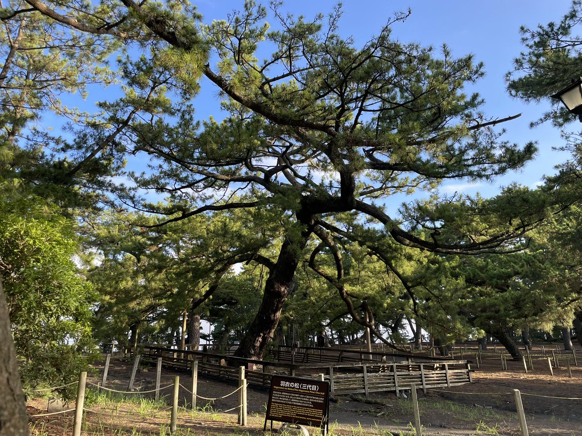 えんかい (@enkaizangakki) on Twitter photo 