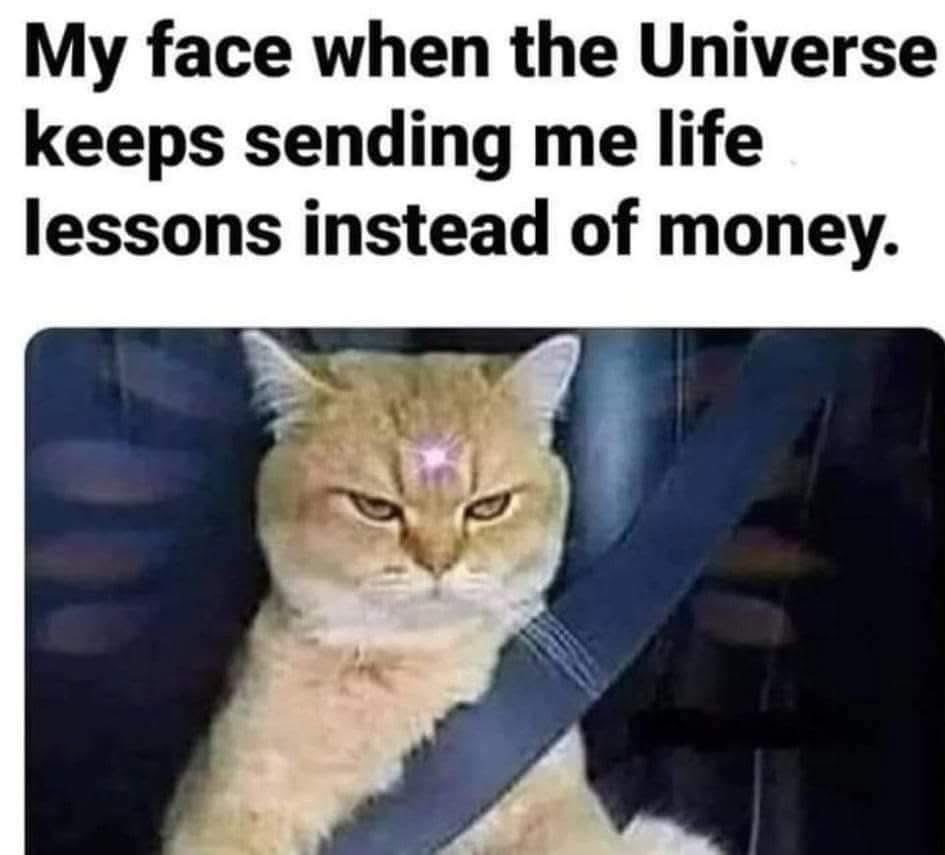 🤣🤣🤣🤣