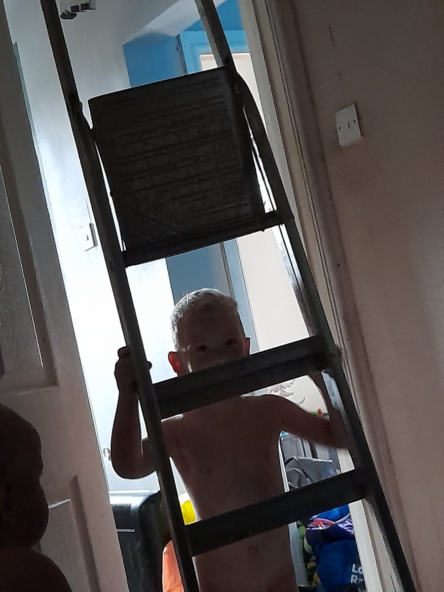 paulstewartart's tweet image. Ok, where did he get the inspiration for this @TrueGritWrestle? First thing in the morning he brings a ladder from the spare room. Then this evening whilst we're trying to put washed clothes away, he is diving on them. I blame @AdamBolt_ and @tony_wright97