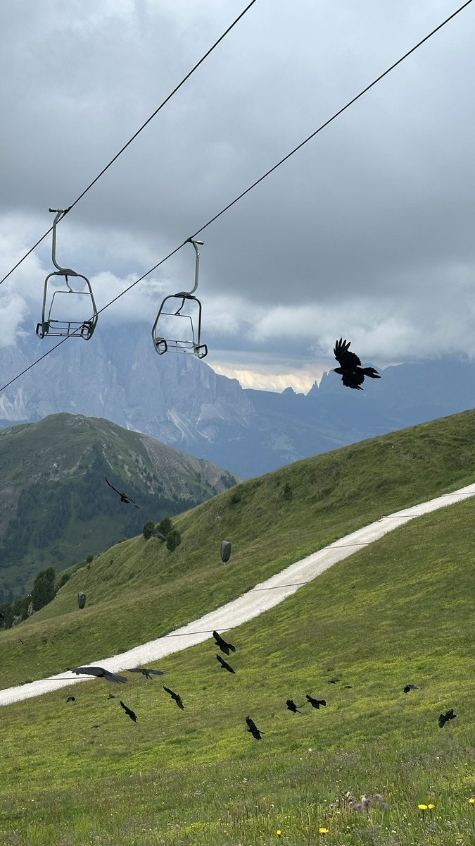 أسِيل🌧 tweet media