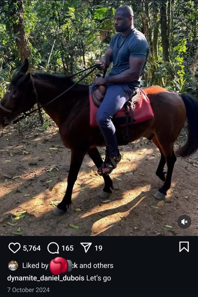 NadimElHaddad1's tweet image. Genuinely believe when he posted this with the caption “let’s go” he expected the horse to check its instagram and respond