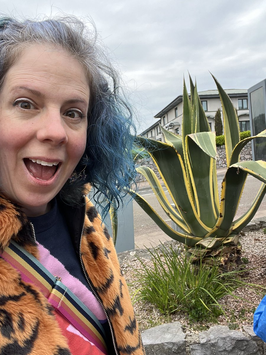 SarahVaci's tweet image. Just a normal British woman doing British woman things.
What other normal British woman things have you all been up to?