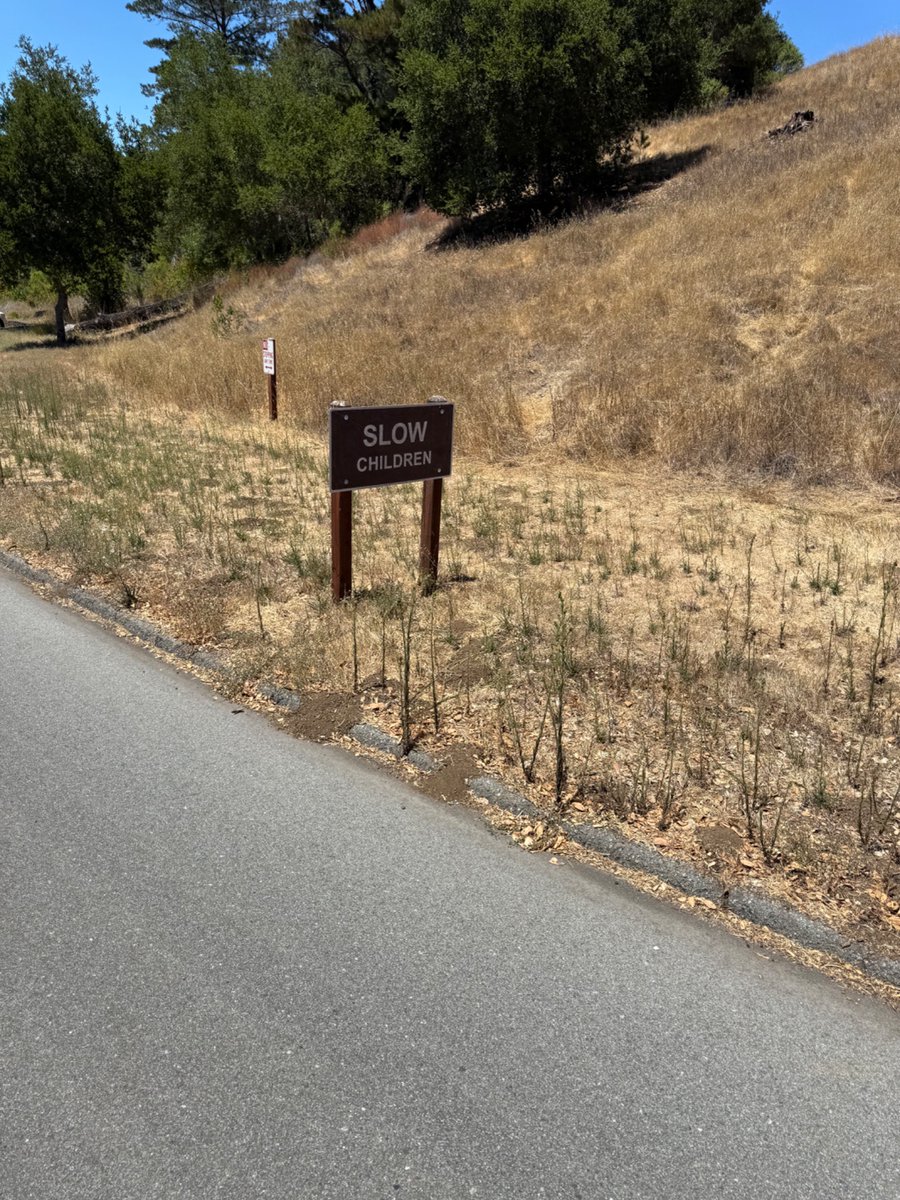 It’s so cute that Palo Alto has nature preserves where they put children who can’t compete in math and coding olympiads out to pasture.