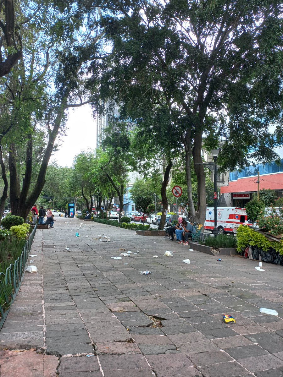 La Colonia Juárez (@lacoloniajuarez) on Twitter photo Vecinos de <a href="/LaRomaDF/">Colonia Roma 🚲</a> reportan basura sobre el camellón central de Álvaro Obregón.
¿Les podrían ayudar <a href="/pcacuauhtemoc/">Primer Contacto Alcaldía Cuauhtémoc</a>? Vecinos de <a href="/LaRomaDF/">Colonia Roma 🚲</a> reportan basura sobre el camellón central de Álvaro Obregón.
¿Les podrían ayudar <a href="/pcacuauhtemoc/">Primer Contacto Alcaldía Cuauhtémoc</a>?