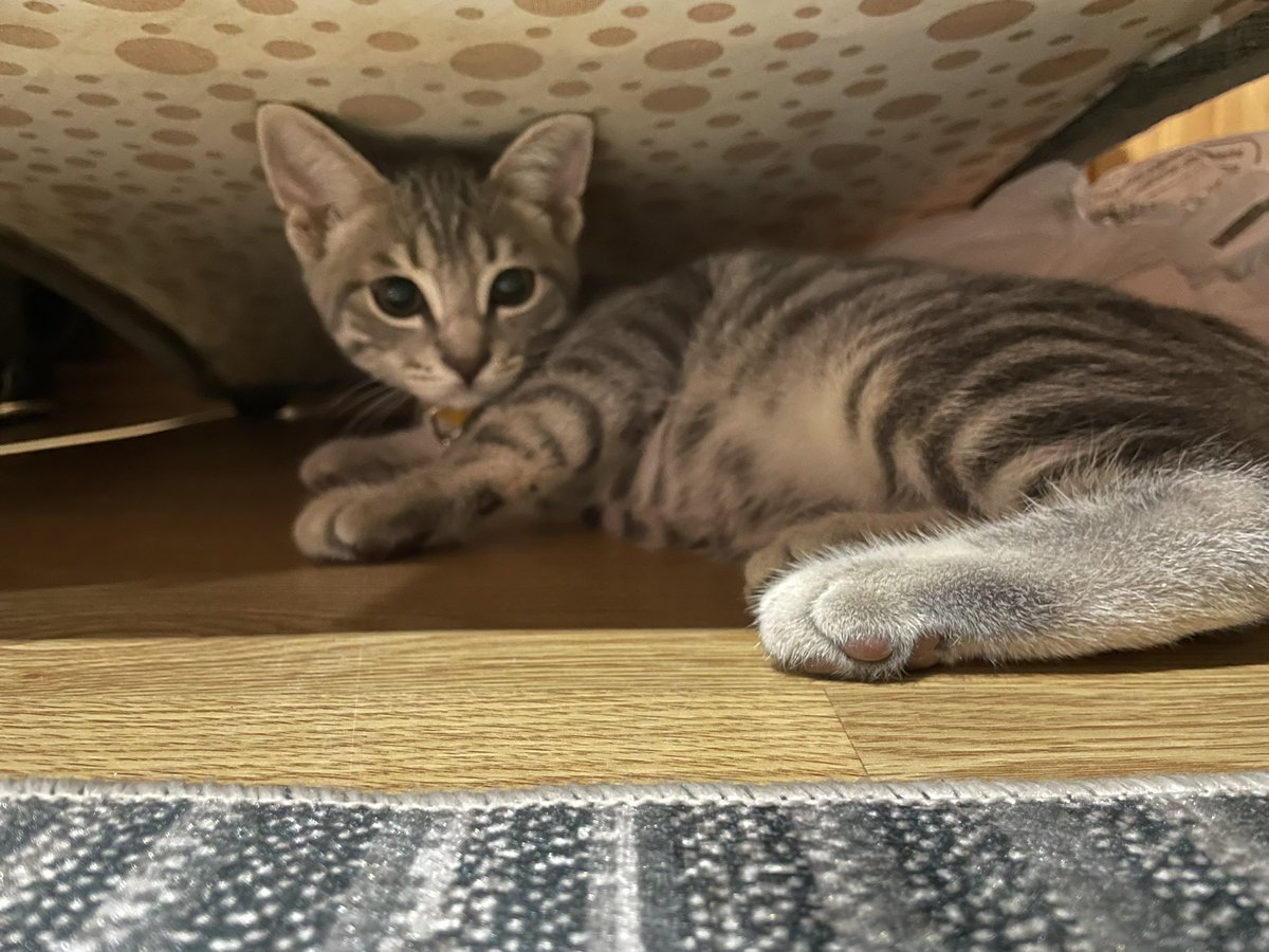 benden kacabilirsin ama saklanamazsin