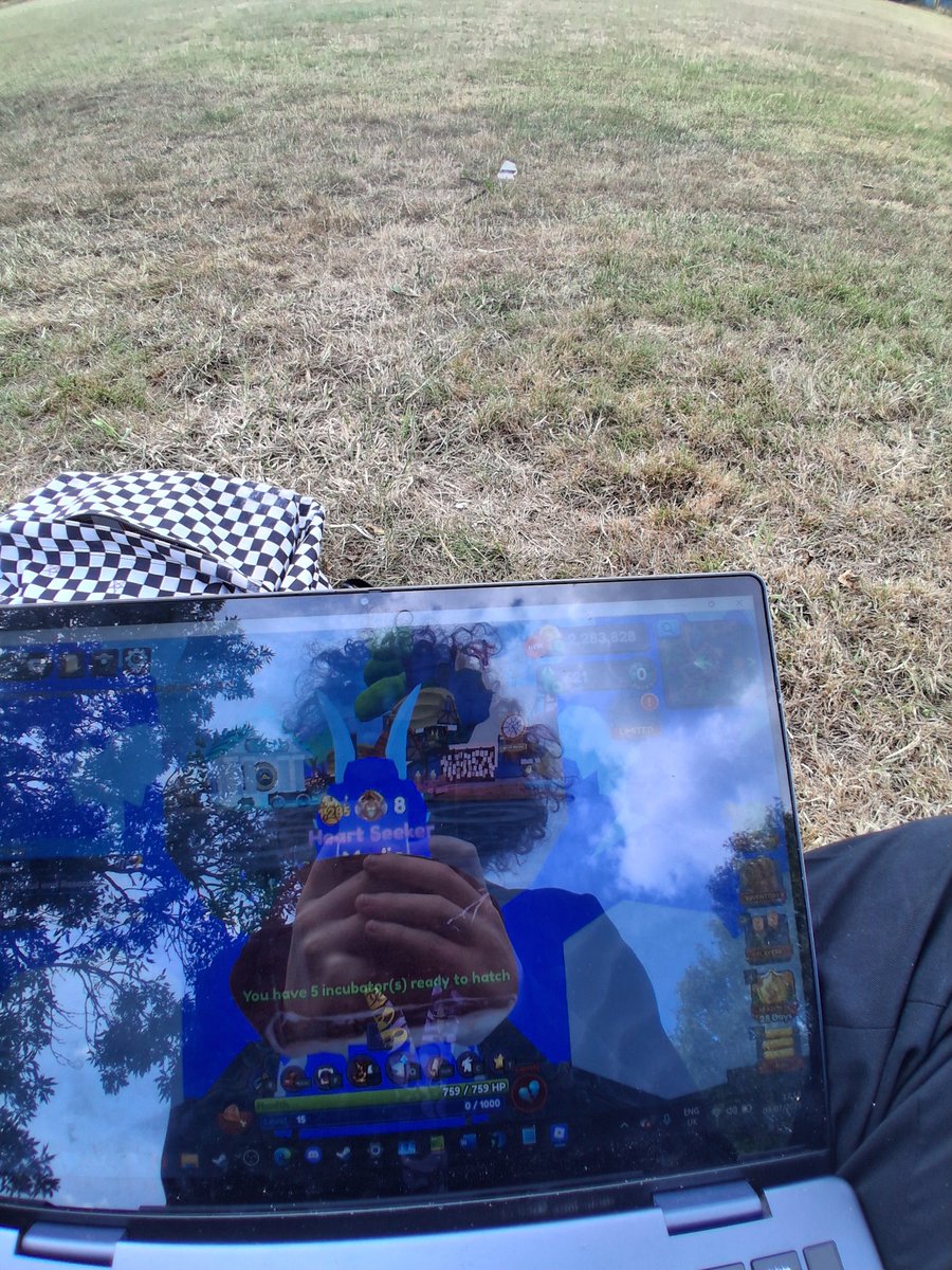 egg_232's tweet image. NOTHING stops me playing roblox dragon adventures