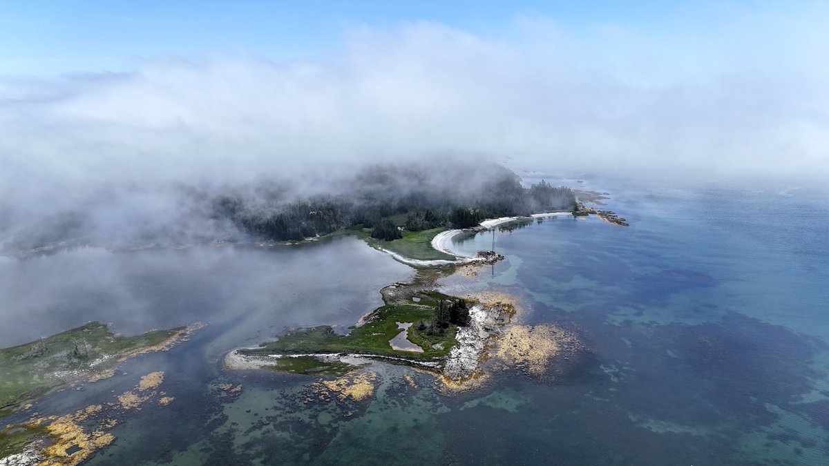 NSwilderness's tweet image. The fog keeps things nice and cool even on those hot summer days. Also the ocean breezes.