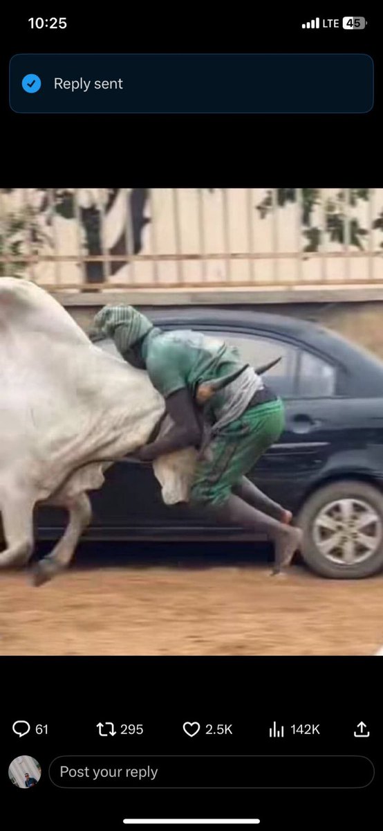 Imagine telling this person that one nepo baby dey “outwork” him. Omo ehn. No work wey LAPO baby never try for this life