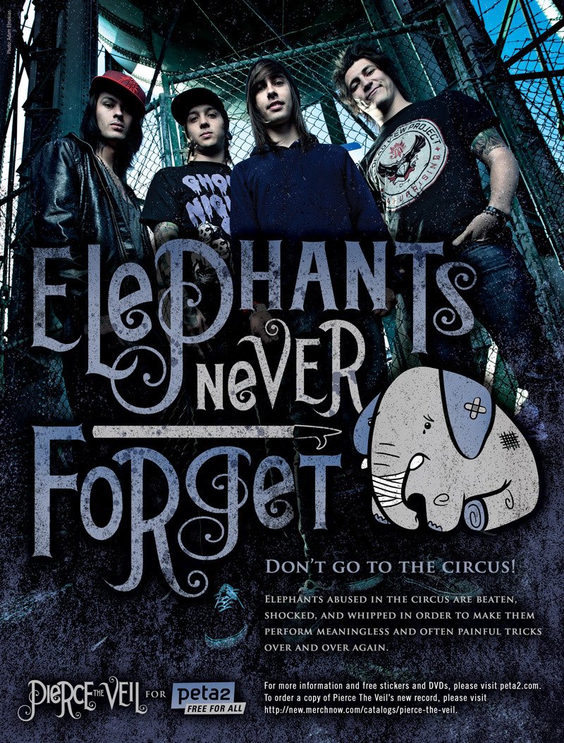 pierce the veil for peta2’s “elephants never forget” campaign (2010)