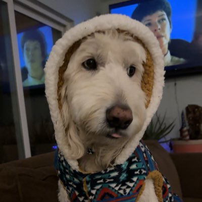 titansoftrack's tweet image. #NewProfilePic