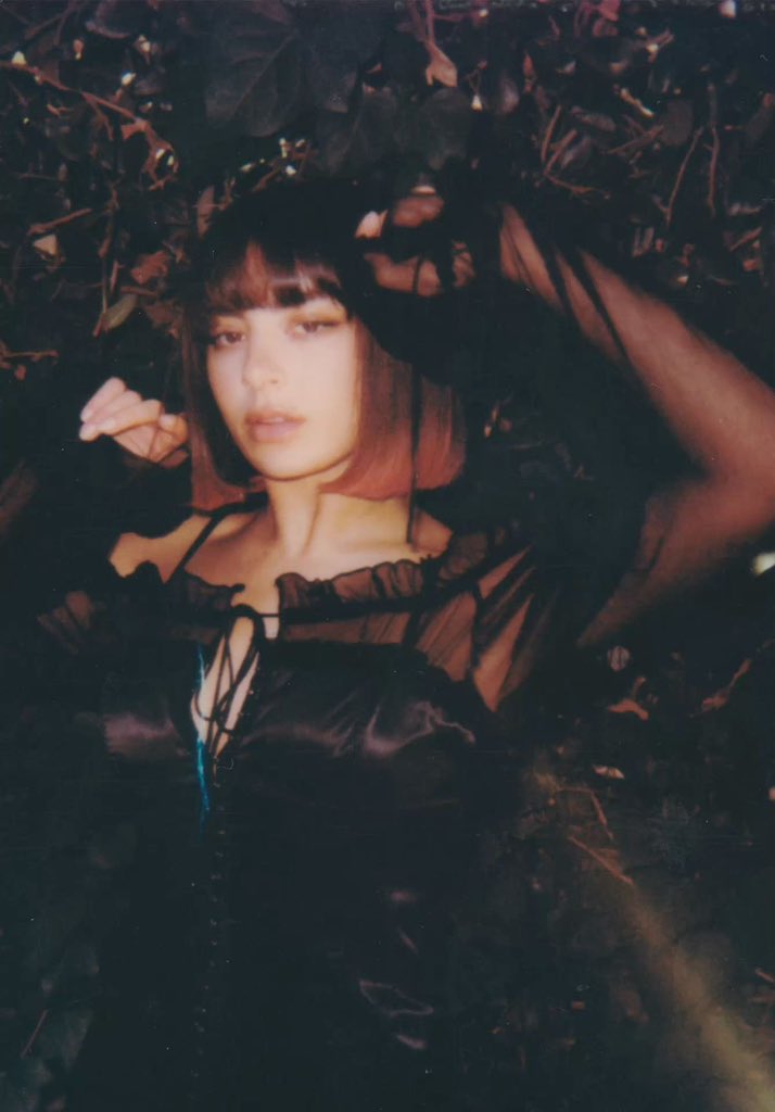 xcx_daily's tweet image. 