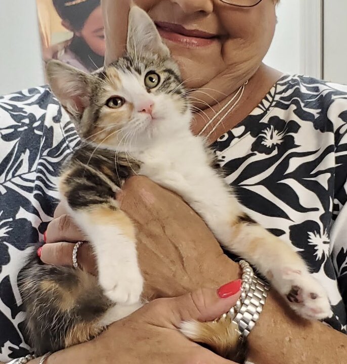 pscsmb (@pscsmb) on Twitter photo How it started vs how it’s going
The Class of 7/25 - Thelma & Louise
<a href="/_tinypaws/">Tiny Paws Kitten Rescue</a>
#IdleHandsWorld_felinefoster&feedlot How it started vs how it’s going
The Class of 7/25 - Thelma & Louise
<a href="/_tinypaws/">Tiny Paws Kitten Rescue</a>
#IdleHandsWorld_felinefoster&feedlot