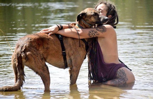sandrak9babe's tweet photo. #Beastiality #Zoophilia #Doggirl #Horsegirl #Animalporn #Animalsex #Zootube #Teens #ZooRp #Zoosex #ZoopornPREMIUM
https://t.co/LPNicubmYl https://t.co/ENjLA2SbXH