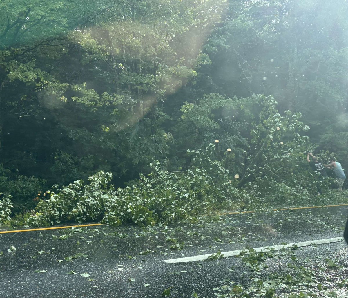 Trees down along I-93 northbound in Sanbornton, NH <a href="/NWSGray/">NWS Gray</a> #nhwx
