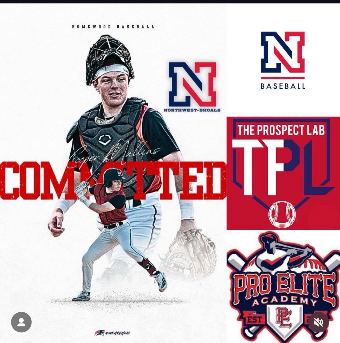 TPL Baseball Development tweet media