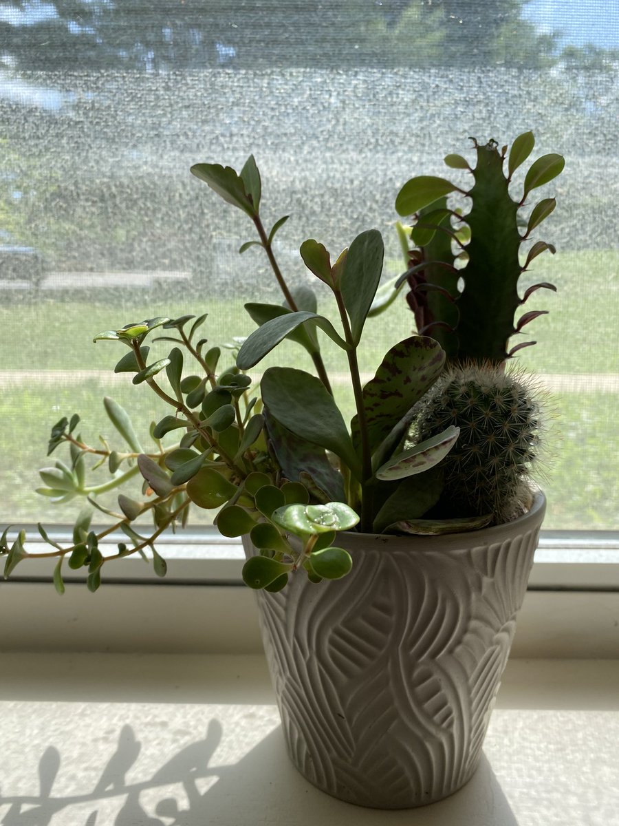 andresreadskant's tweet image. A pot of souls I bought today