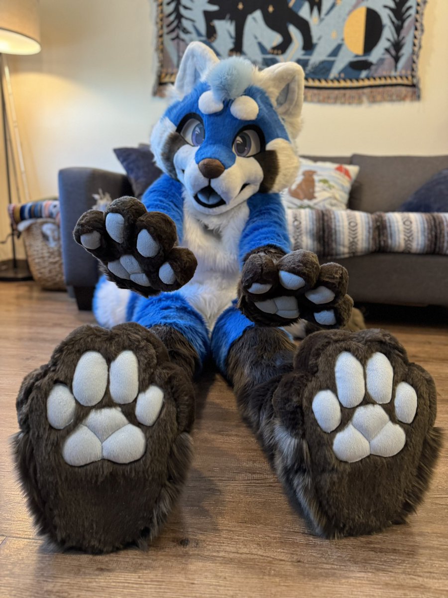 CoyoteArcade's tweet image. Kehmet the red (blue) panda! 💙