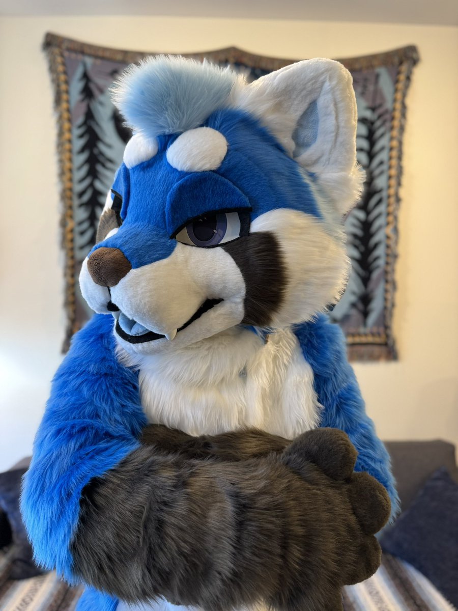 CoyoteArcade's tweet image. Kehmet the red (blue) panda! 💙