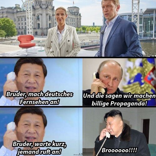 #Sommerinterview #Weidel #AfD