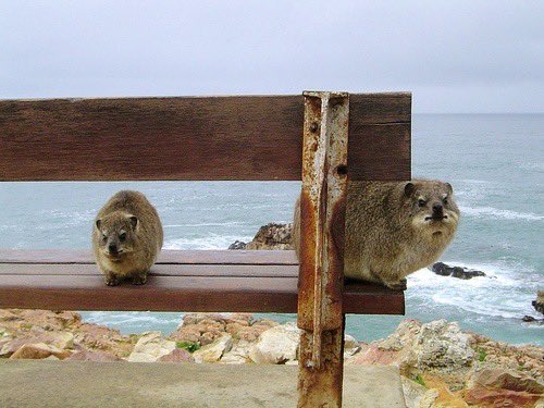 ꧁꧂ (@eat5g) on Twitter photo 