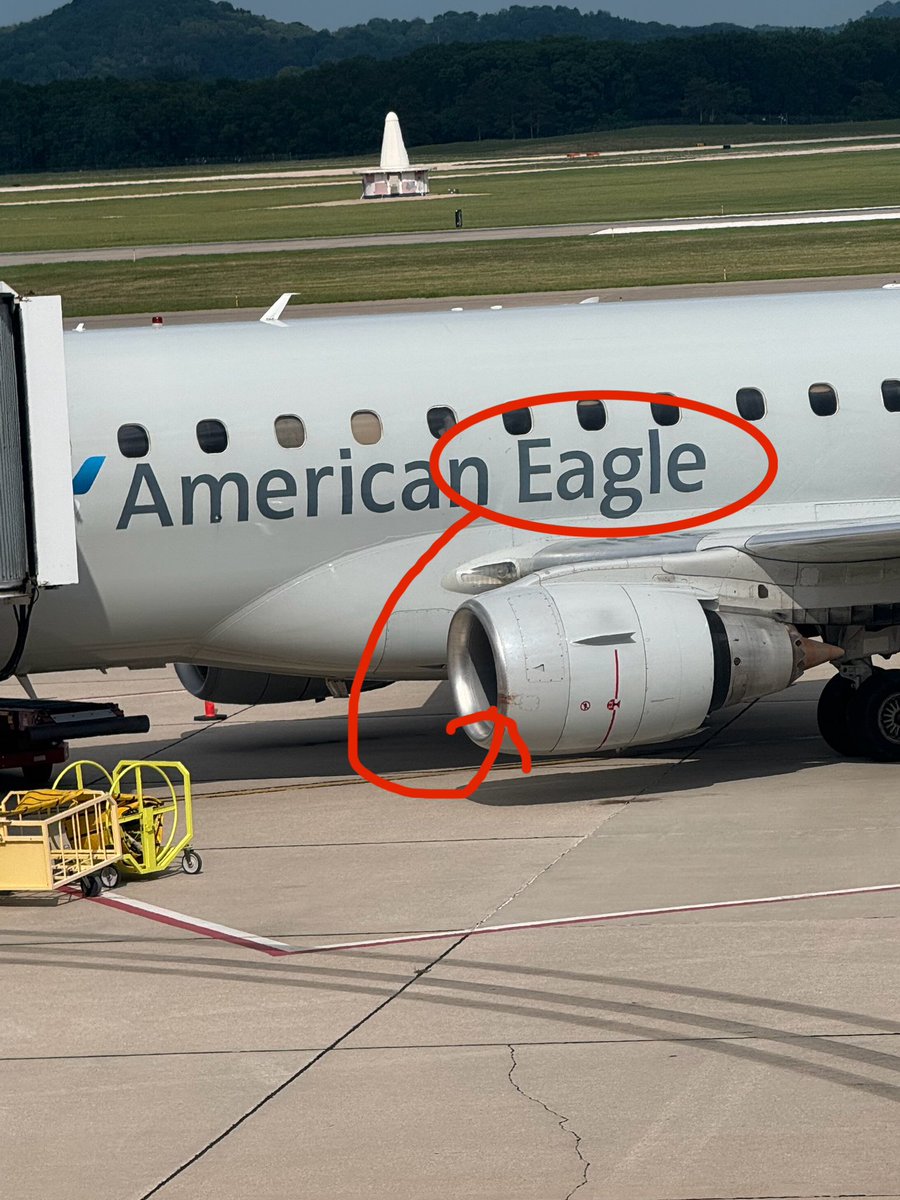 derrickvanorden's tweet image. Apparently Eagles don’t like Hawks.
I’m just waiting on a plane.
-Without a bird in the engine.