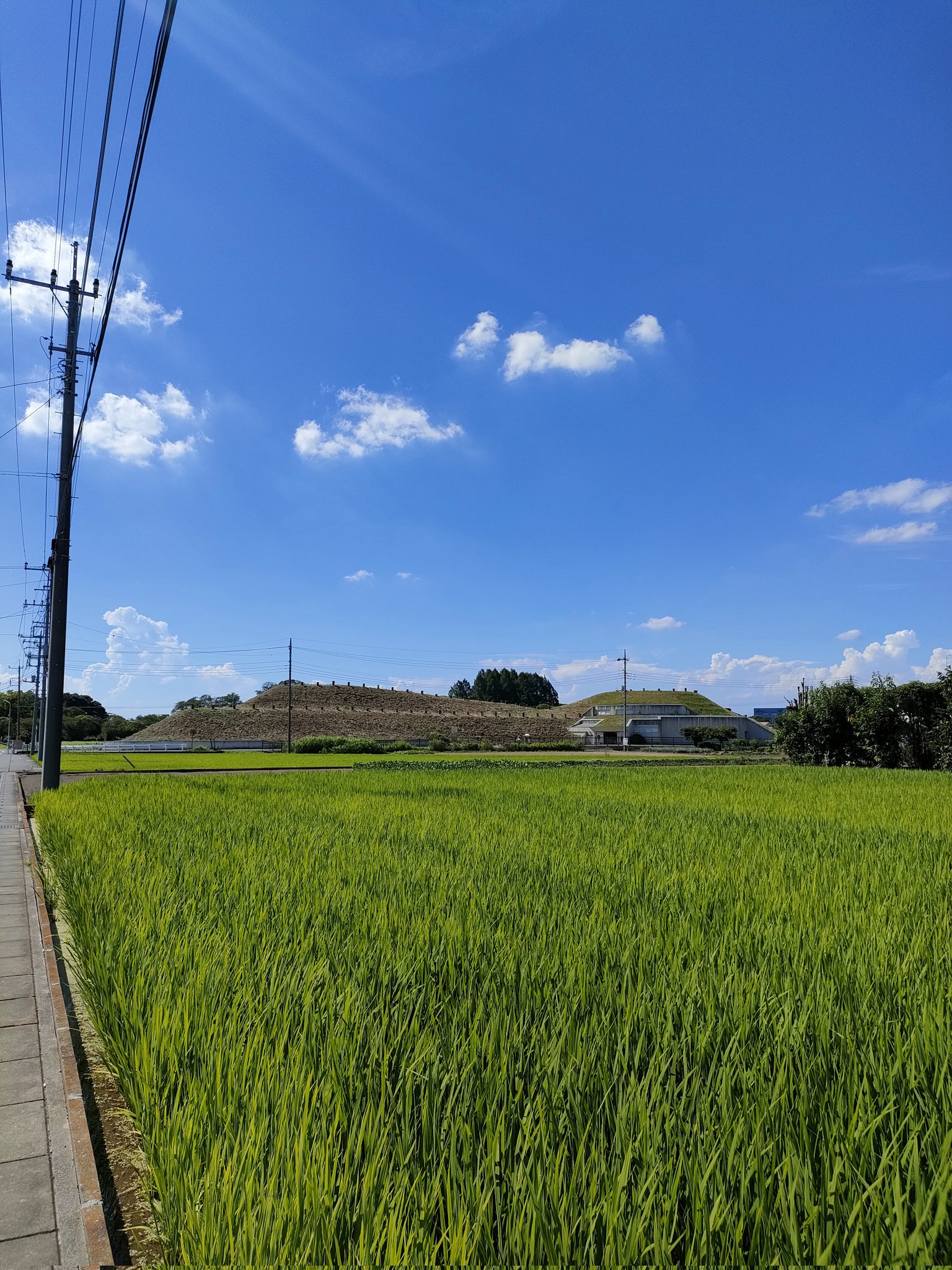 【中古】 回想畑県政二十年/さきたま出版会/毎日新聞社 ムックん on X: 