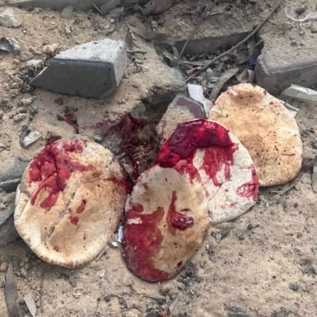 ahmedmseadallw's tweet image. و عندما يحصل بعضهم على رغيف الخبز يتلطخ الخبز بدماء من يريد اكله