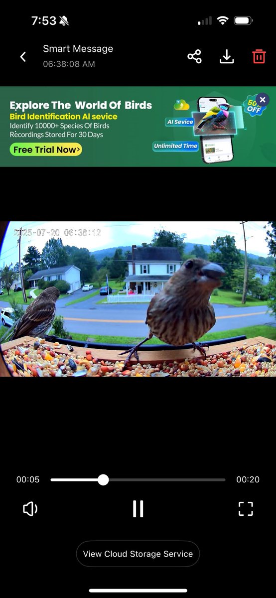 davemastrine's tweet image. Also got one of those bird feeders with a motion camera and let me tell you, there is nothing like getting a push notification that a house finch has entered the chat.