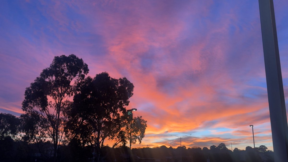 Preetkanwal05's tweet image. Let this sunrise be your reminder…….every day is a fresh start, painted with new possibilities. Chase your light, even if it’s hidden behind the trees✨ #MondayMotivation #NewBeginnings #SunriseVibes