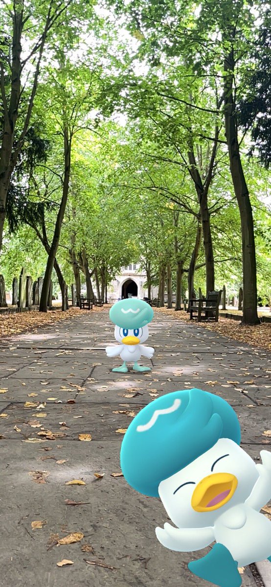 Edward Hart tweet media